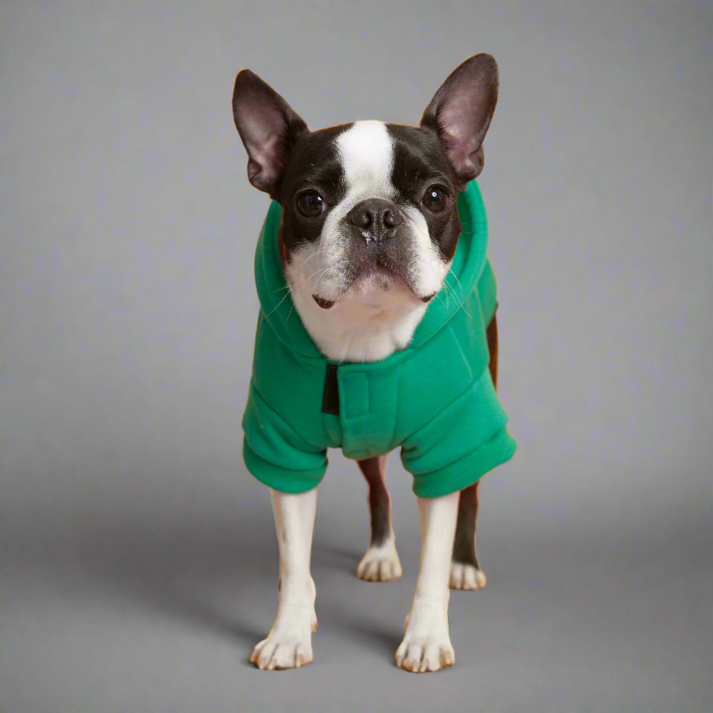 Guapo Hoodie